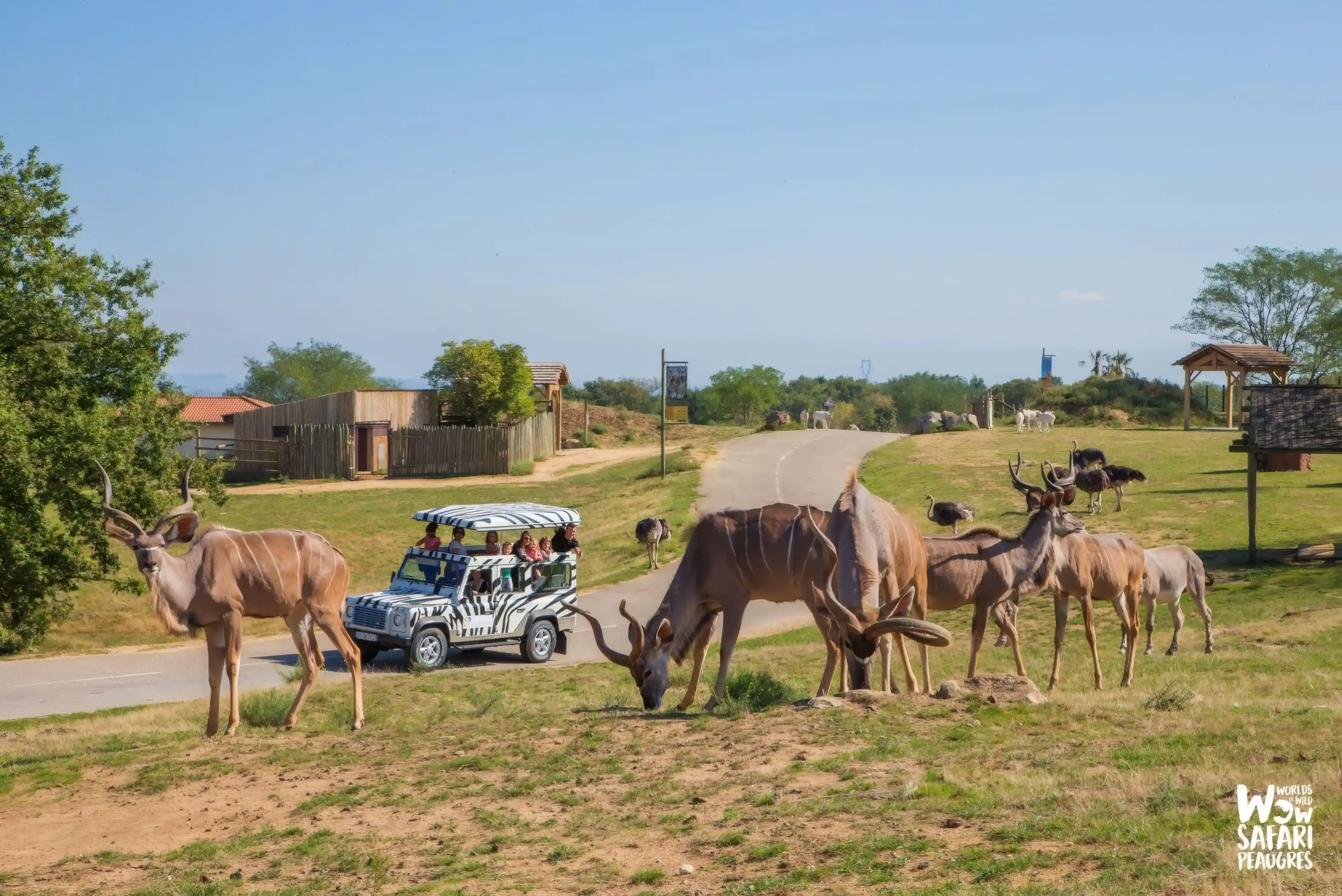 Vue panoramique du Safari de Peaugres